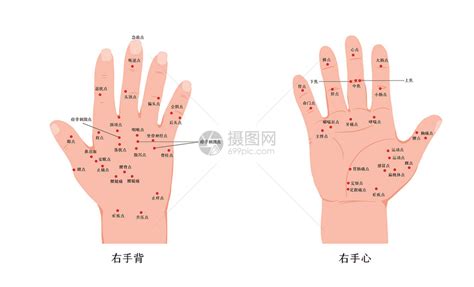 手心|手心（身体部位）